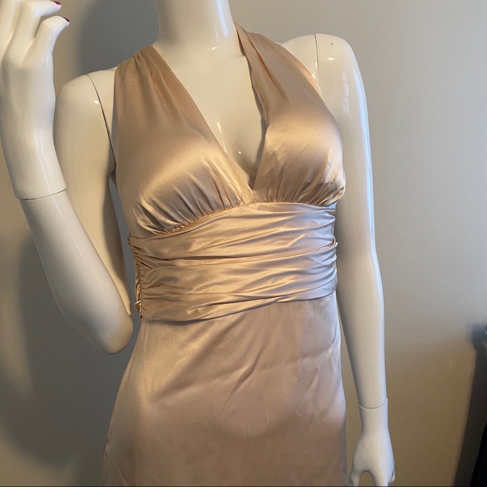 Nicole Miller Champagne Floor Length Dress